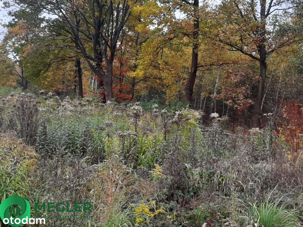 Działka w otulinie lasu-1