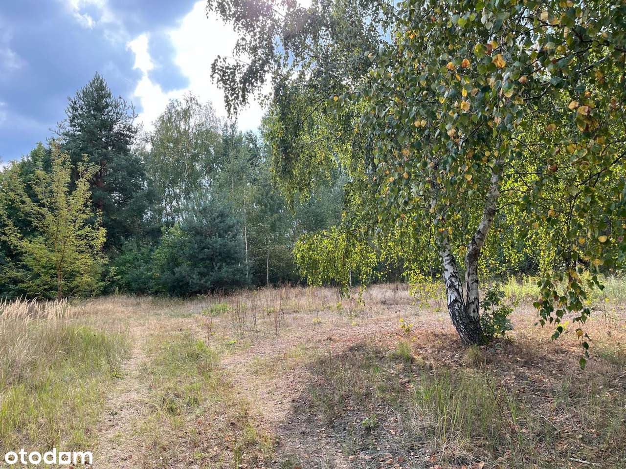 GŁOSKÓW, POD WARSZAWĄ, BEZPOŚREDNIO Sprzedam działki budowlane - Pełny obrazek: 5/7