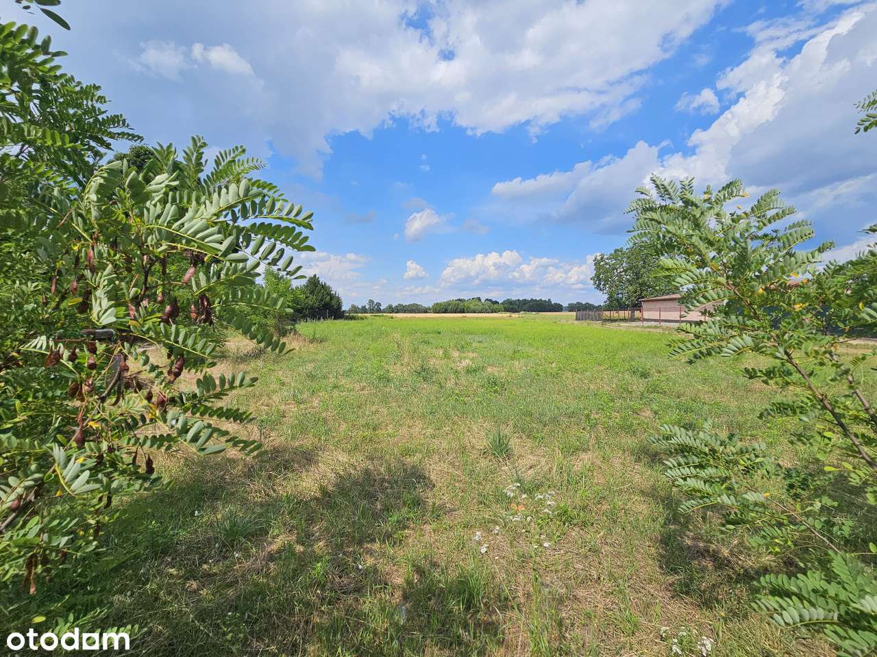 Blisko 3000m2 w pięknym miejscu pod dom z warunkami i projektem-8