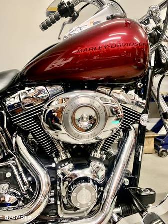 Harley-Davidson Softail - 7