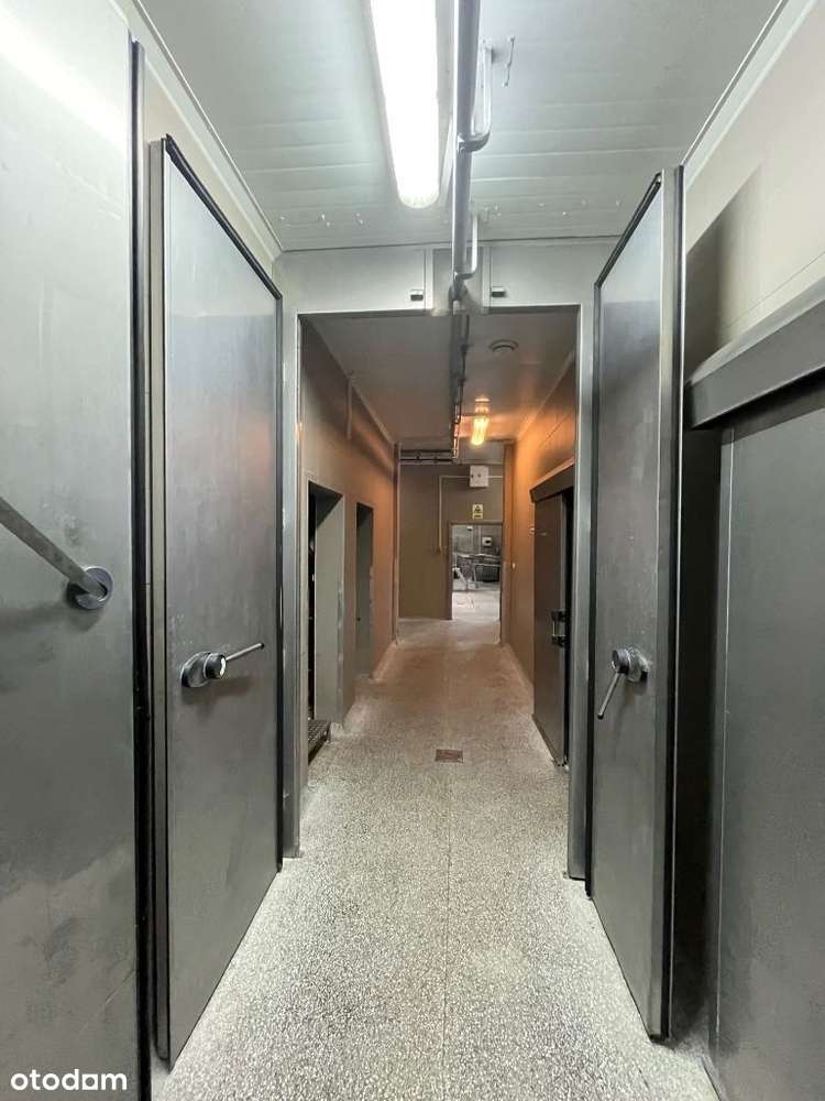 Ubojnia bydła 1tys. szt./tygodniowo, mazowieckie - Pełny obrazek: 4/12