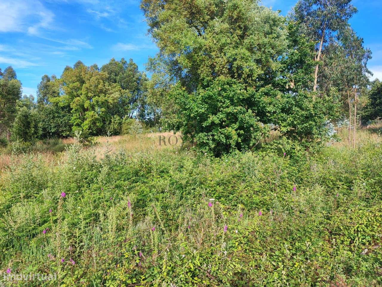 Terreno para construção de moradia em Serzedo - Perosinho - Grande imagem: 5/5