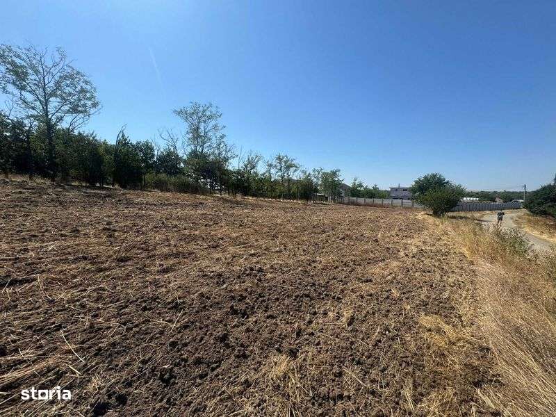 Teren intravilan de vanzare comuna Mischii, Dolj - Imagine principală: 4/8