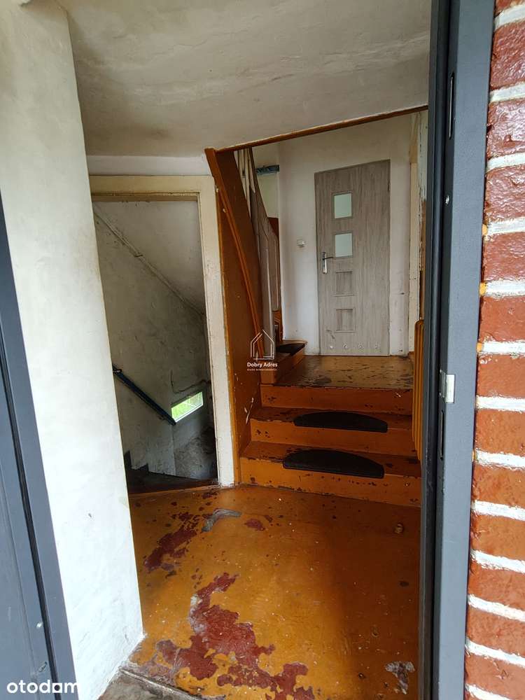 Dom przy parku Kościuszki - Pełny obrazek: 4/14