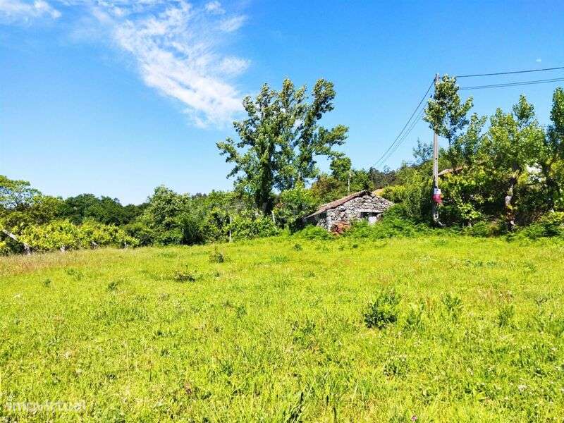 Terreno / Baião, Campelo e Ovil - Grande imagem: 5/6
