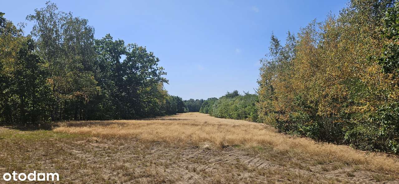 Działka inwestycyjna 2535 m² – Józefów, na wjeździe, przy Granicznej - Pełny obrazek: 3/4