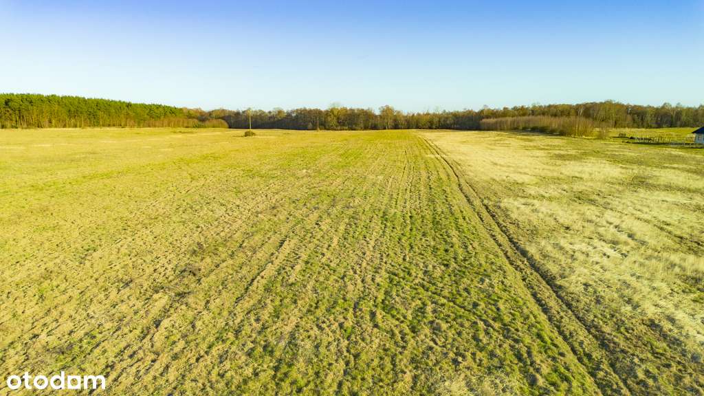 Piękne działki w sąsiedztwie lasu i zalewu - Pełny obrazek: 5/16