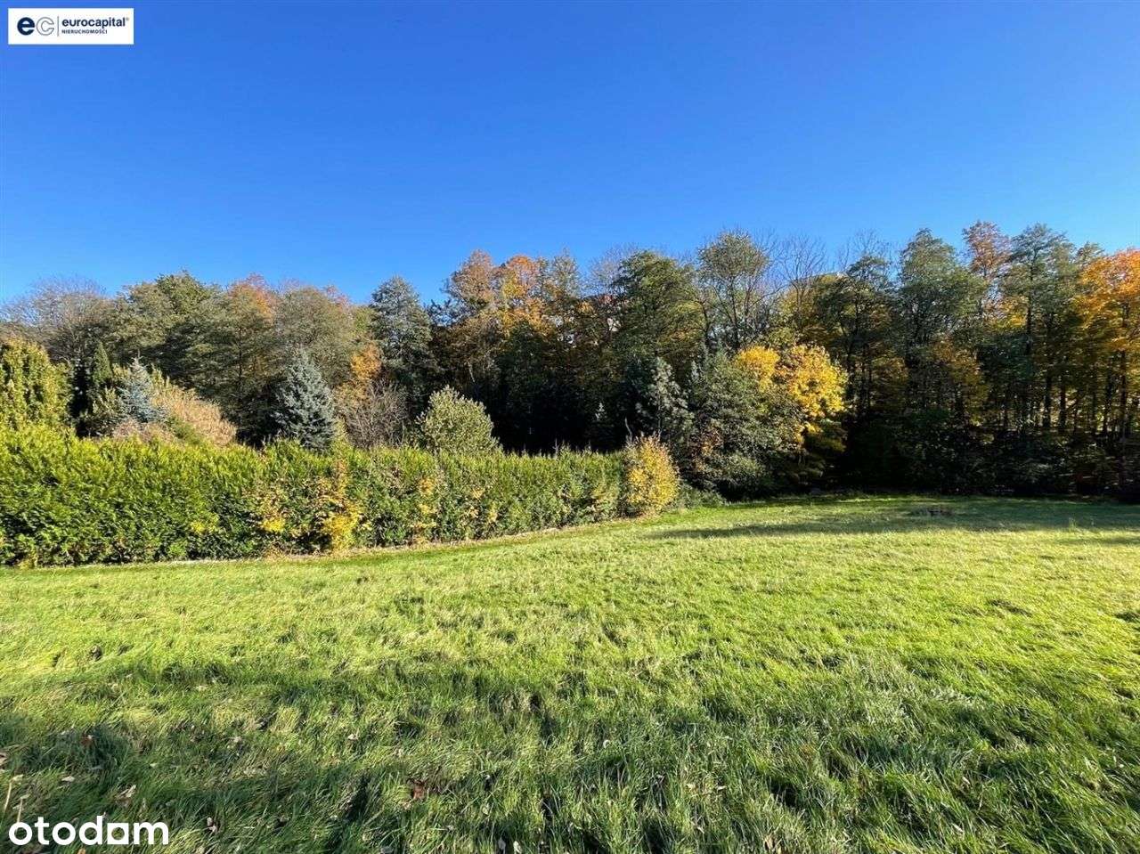 Duża działka w sasiedztwie zagajnika i strumyka!-1