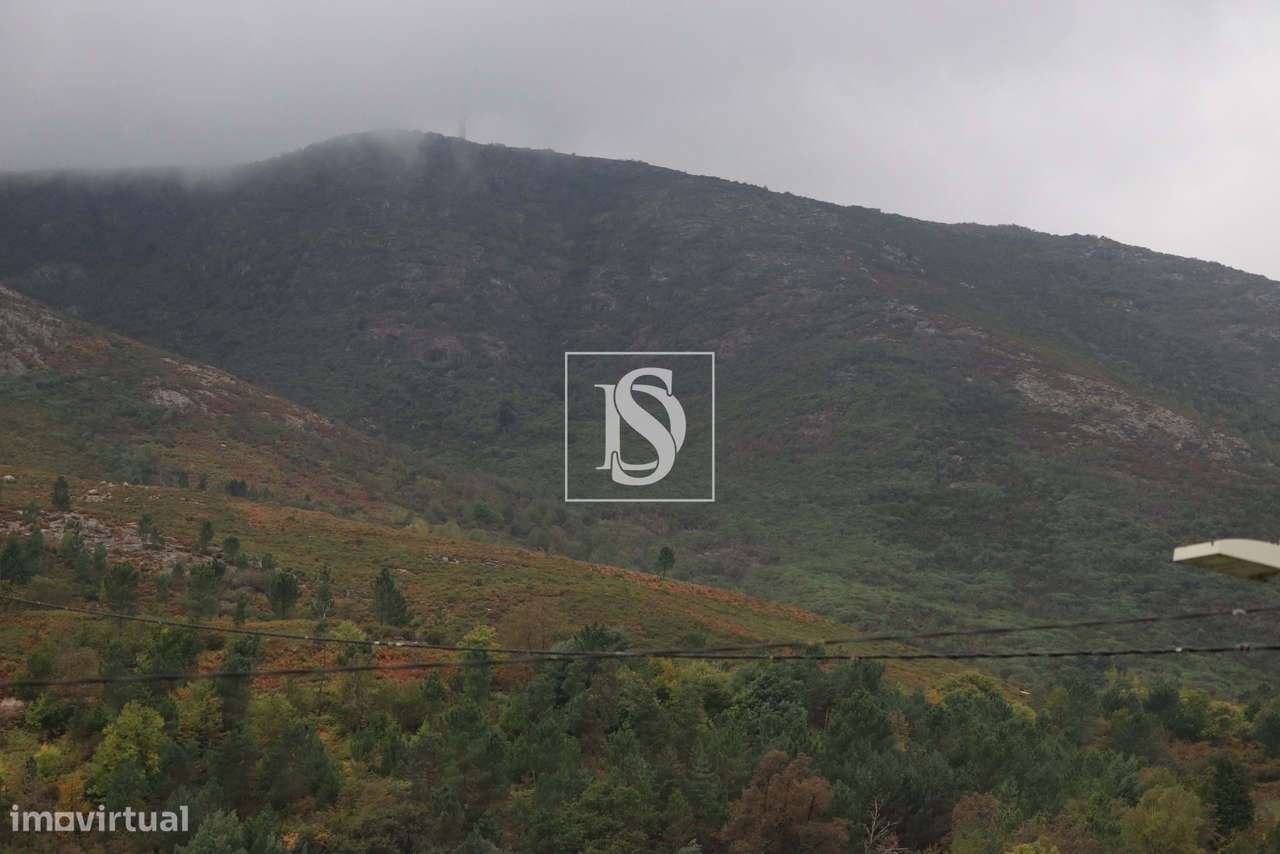 Vivenda de campo e vários terrenos para venda em Zebral, Vieira do Min-47