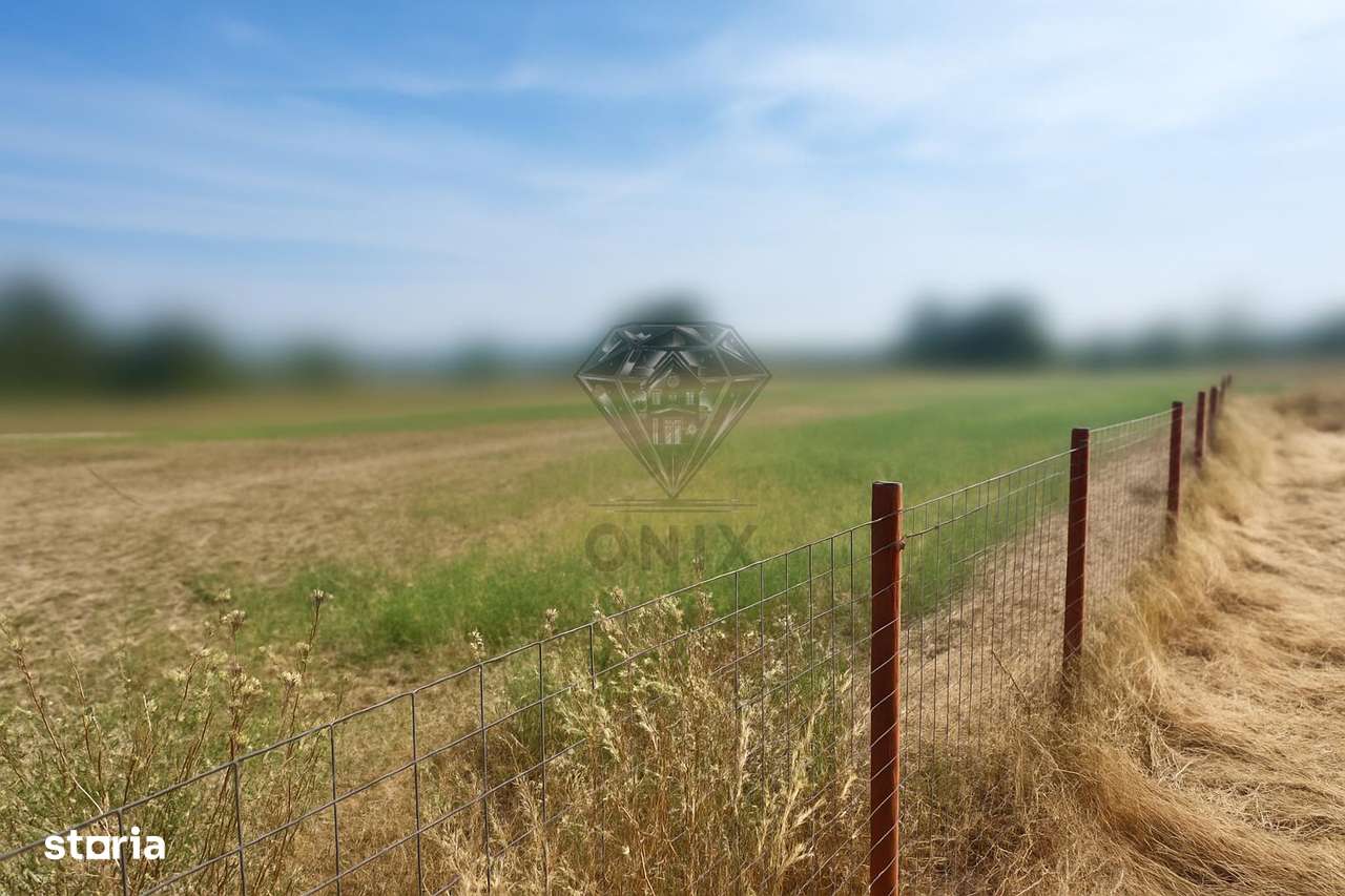 Teren intravilan de vanzare Lipanesti, parcelabil in loturi de 1000 mp - Imagine principală: 1/4