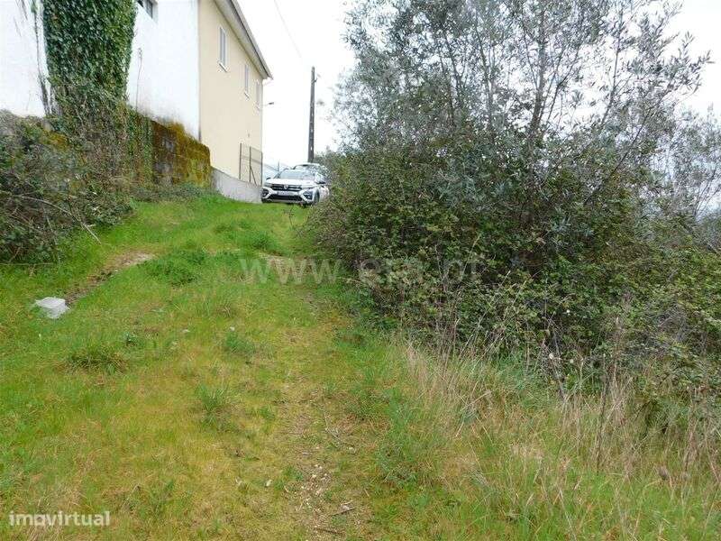 Terreno / Seia, Torrozelo - Grande imagem: 5/7