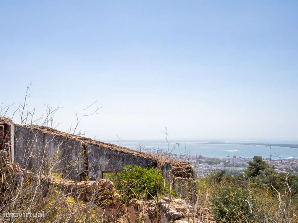 Propriedade na Arrábida com 40 hectares, com projeto aprovado e vis... - Grande imagem: 3/16