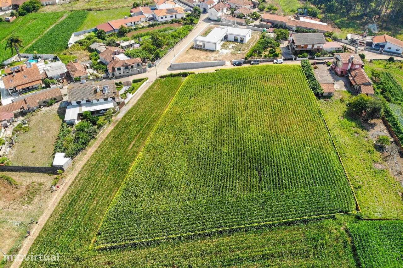 Terreno Estratégico Próximo da A1 e A29-5