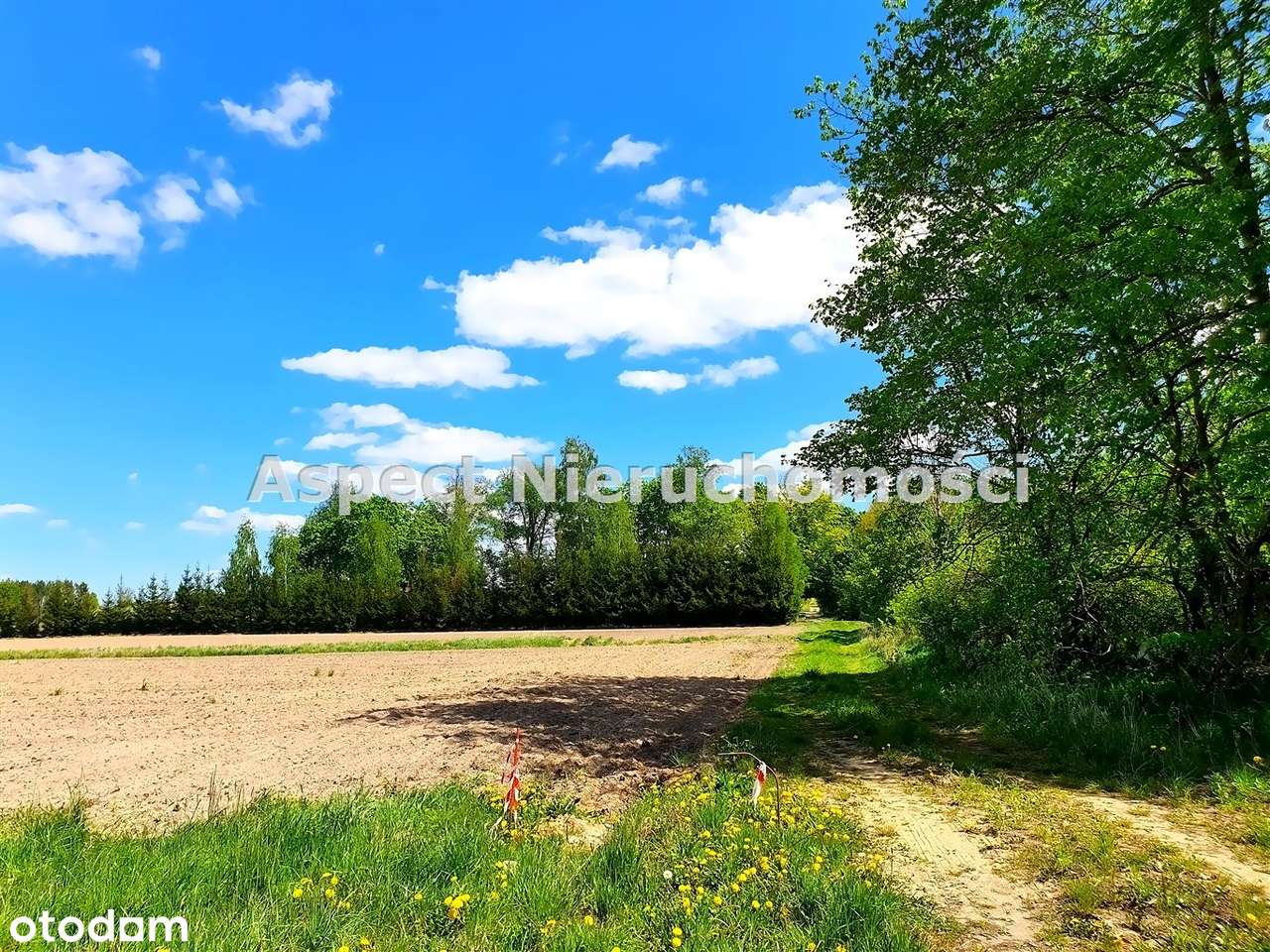 **Działka w otulinie Parku Narwiańskiego*3000m2** - Pełny obrazek: 5/6