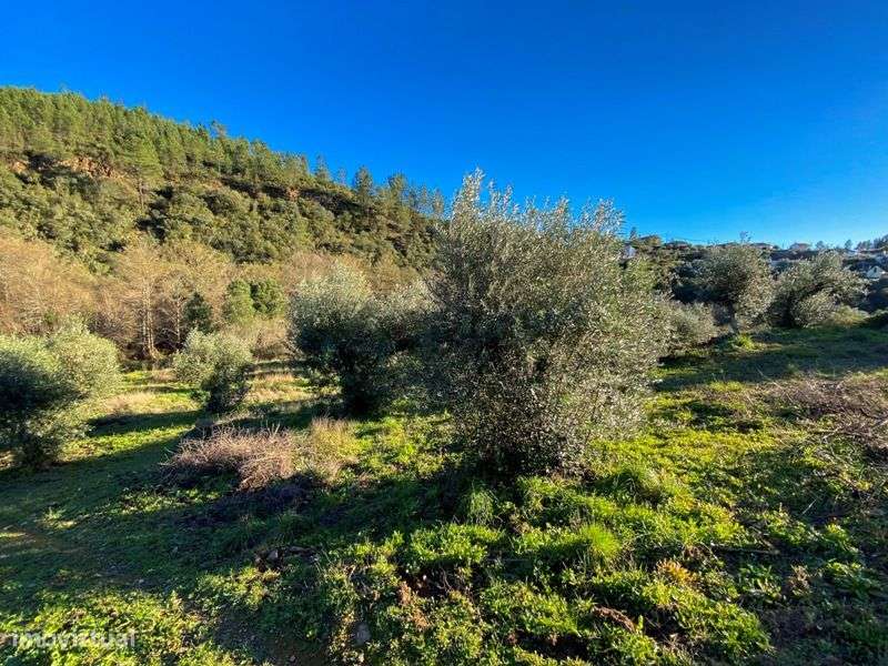 Terreno - Grande imagem: 4/17