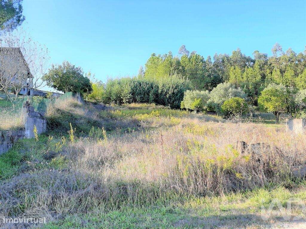 Terreno para construção em Antuzede e Vil de Matos - Grande imagem: 2/6