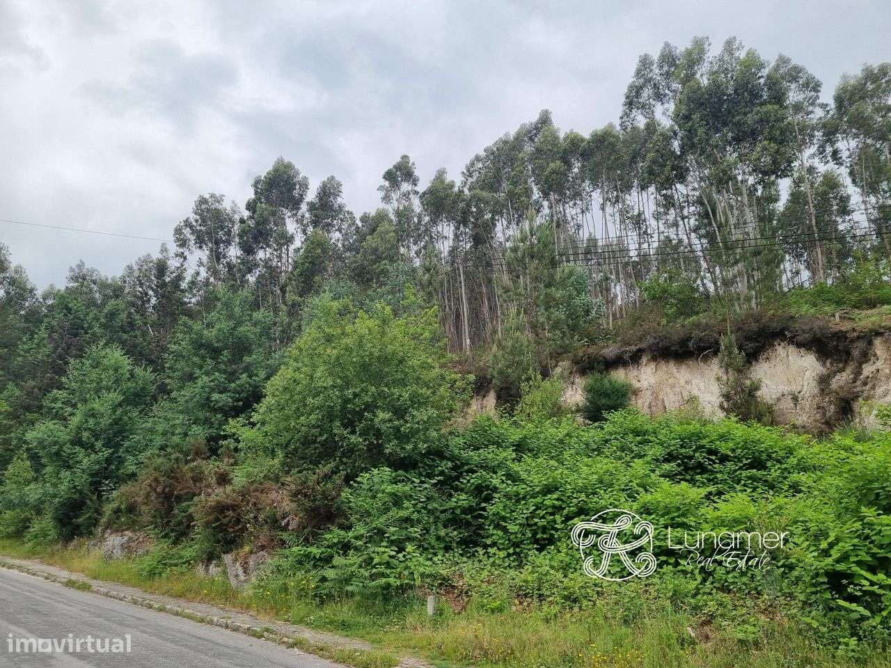 Lotes para construir em vieira do Minho - Grande imagem: 4/5