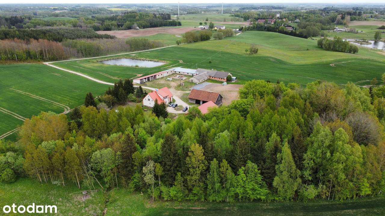 Klimatyczne siedlisko na mazurach ze stawem - Pełny obrazek: 2/20