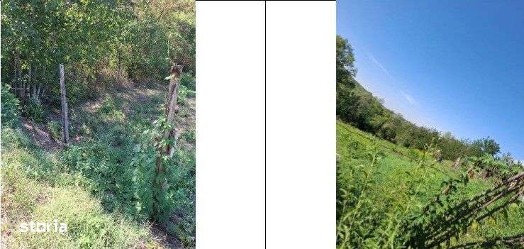 Constructie si teren Apostolache, ID: R2246513 - Imagine principală: 5/9