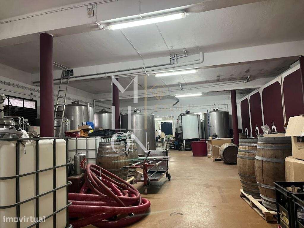 Armazém/Adega com 389 m2 em funcionamento na atividade vinícola – Alme - Grande imagem: 2/10