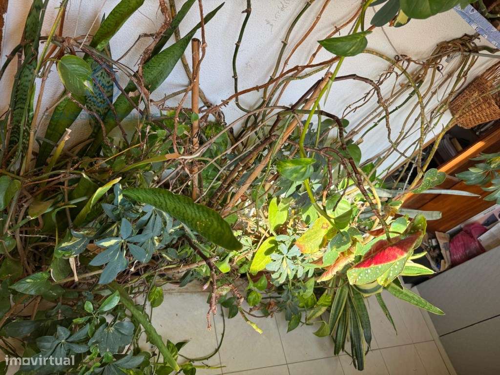 Apartamento T3- Centro da Moita-2 andar-11