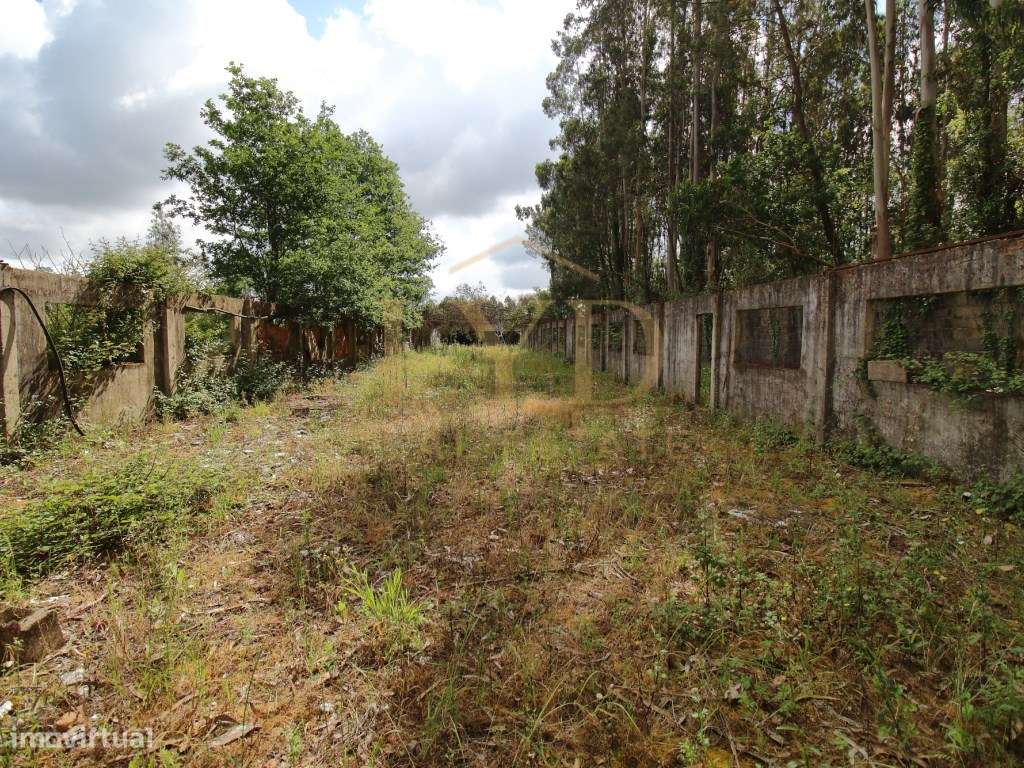 Armazém para venda em Amoreira da Gândara, Anadia | Antigos aviário...-19