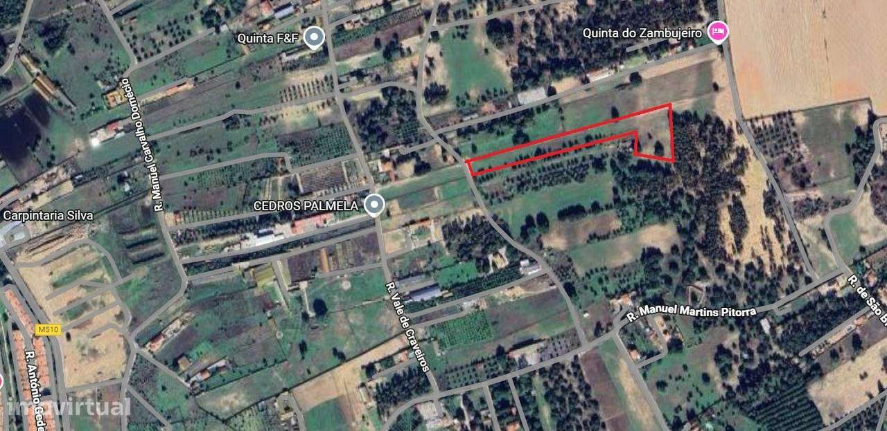 Quinta do Anjo - Terreno Rústico com 10 000m2 - Grande imagem: 5/21