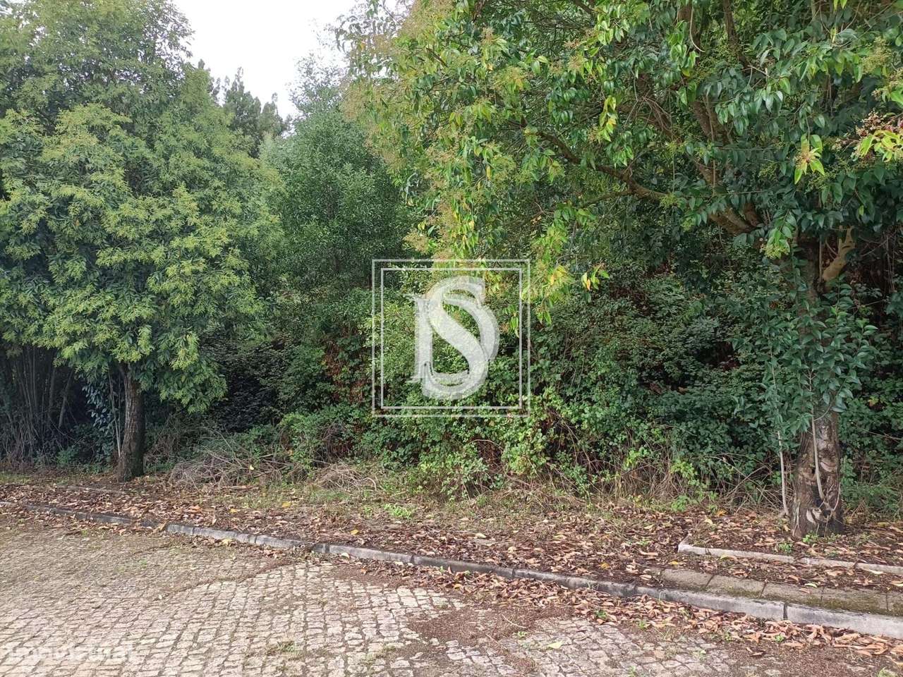 Incrível lote para construção - Grande imagem: 3/5