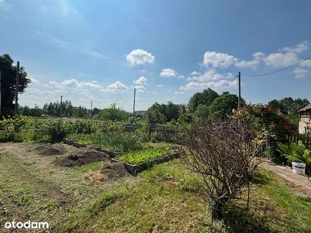 Sprzedam dom w okolicach Lubania!!!-14