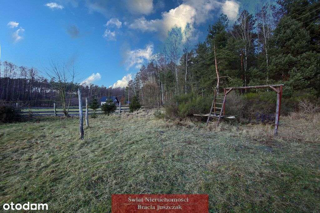 Las - cisza, spokój-6