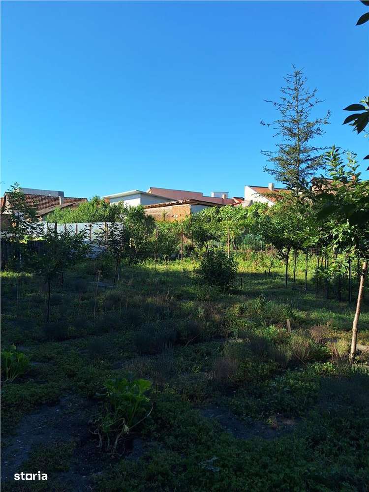 Reco, Casa Oradea Central - Imagine principală: 4/8