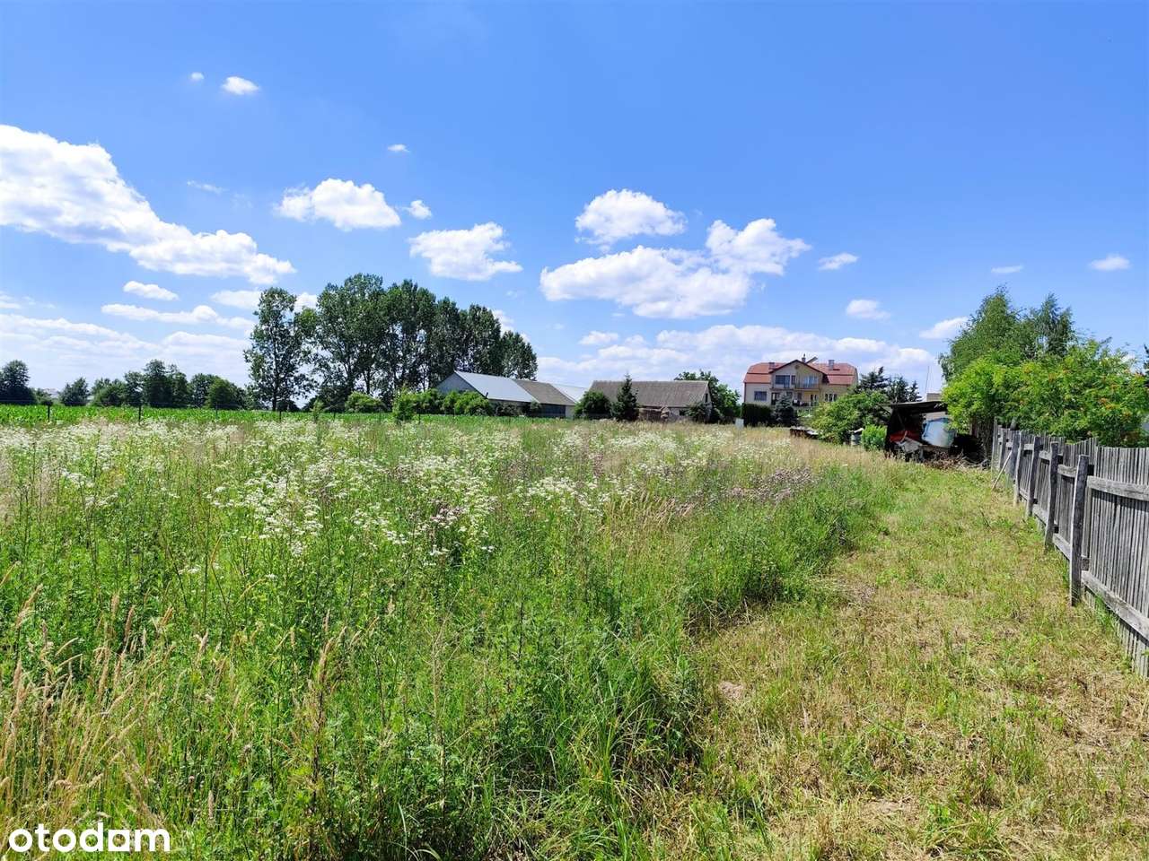 Sliczne działki 3000/5000m2 10km do Białegostoku - Pełny obrazek: 5/8