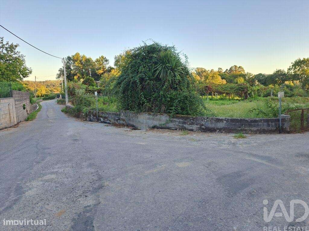 Terreno em Freiriz de 3900,00 m2 - Grande imagem: 5/18