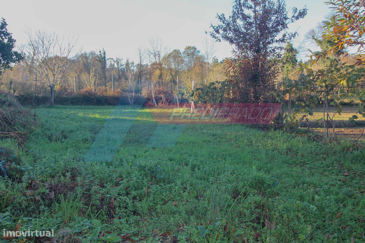 Terreno com 3 artigos em Moure, Vila Verde!-6
