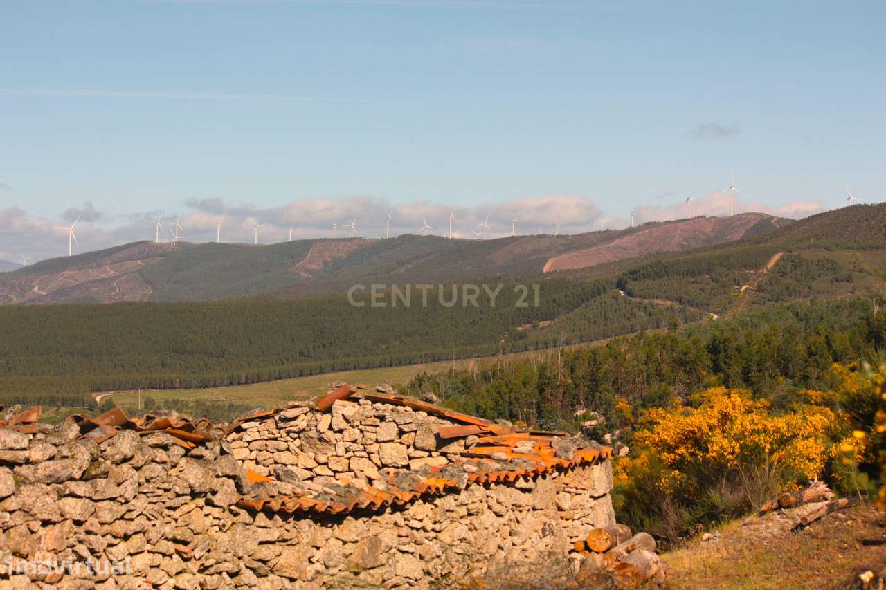 Terreno rústico São Vicente da Beira - Grande imagem: 4/35