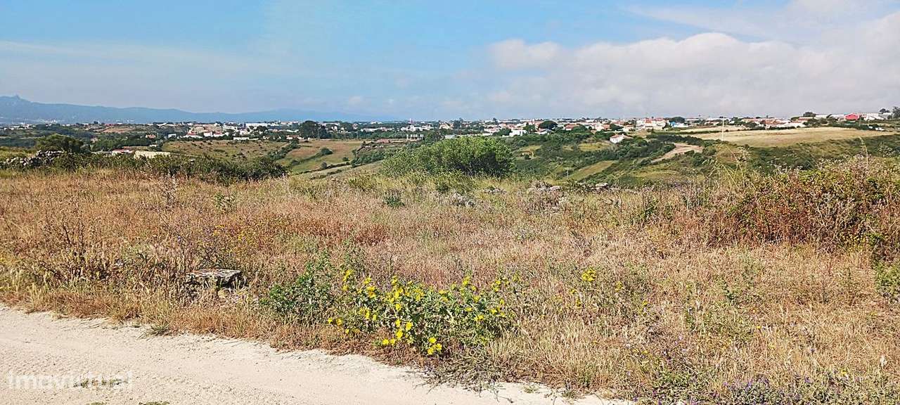 Terreno  para venda - Grande imagem: 3/16