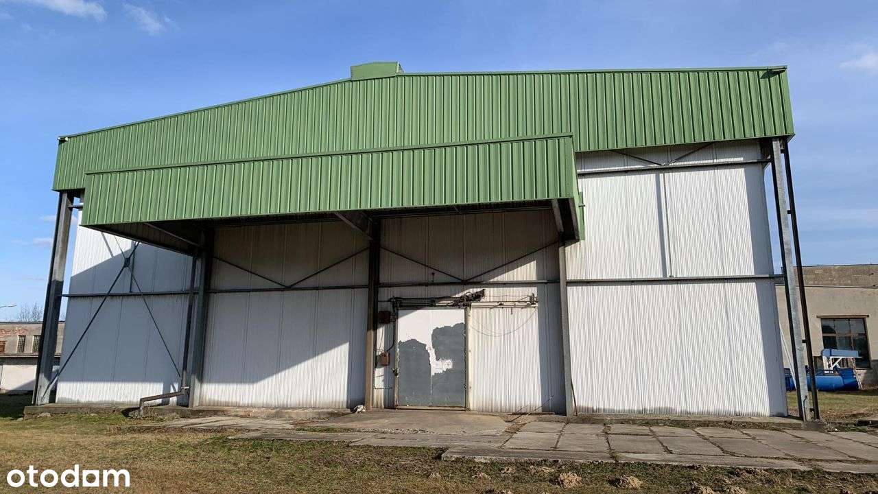 Wynajmę Magazyn Hale produkcyjno magazynowe różne - Pełny obrazek: 3/5