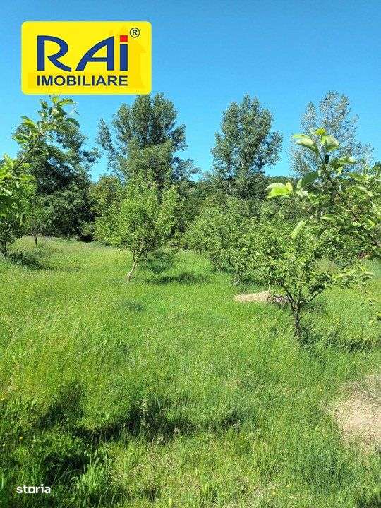 NOU! TEREN DE VIS HOREZU, ZONA TURISTICA 12 EURO/mp - Imagine principală: 5/12