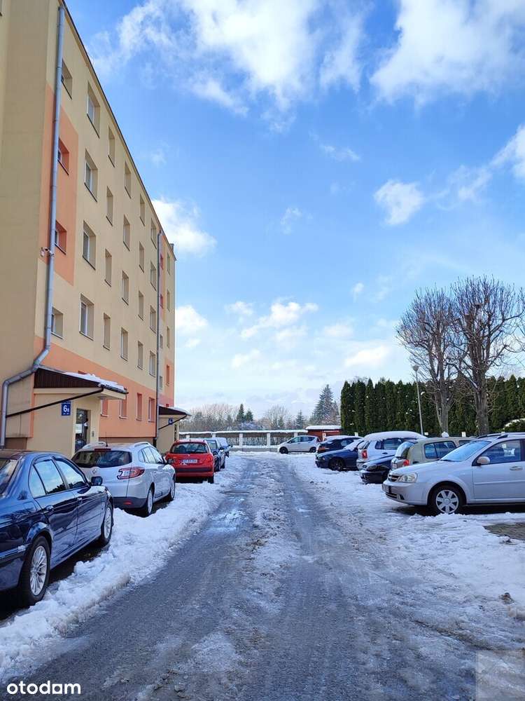 Mieszkanie do wynajecia 36 m2 /ul.Ofiar Katynia/ - Pełny obrazek: 2/20