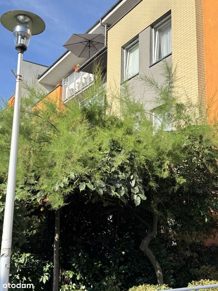 2. Pokoje, duży balkon, cicha okolica.-19