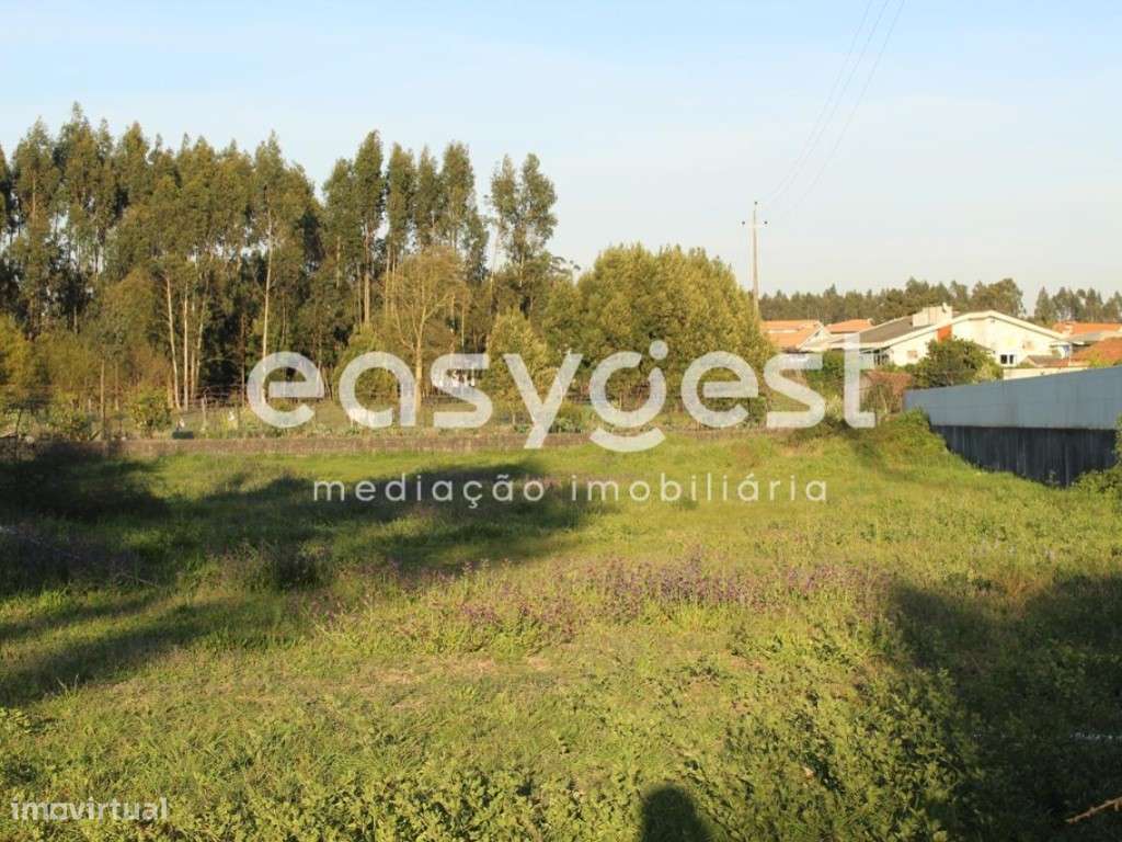 Terreno urbano em SJ Ovar para construção de moradias ou armazém - Grande imagem: 4/7