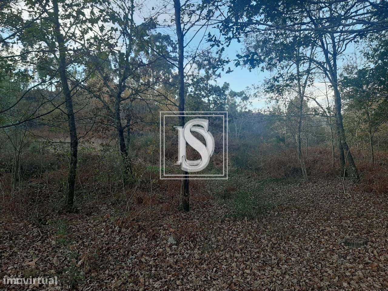 Terreno Não definido em Vieira do Minho - Grande imagem: 4/15