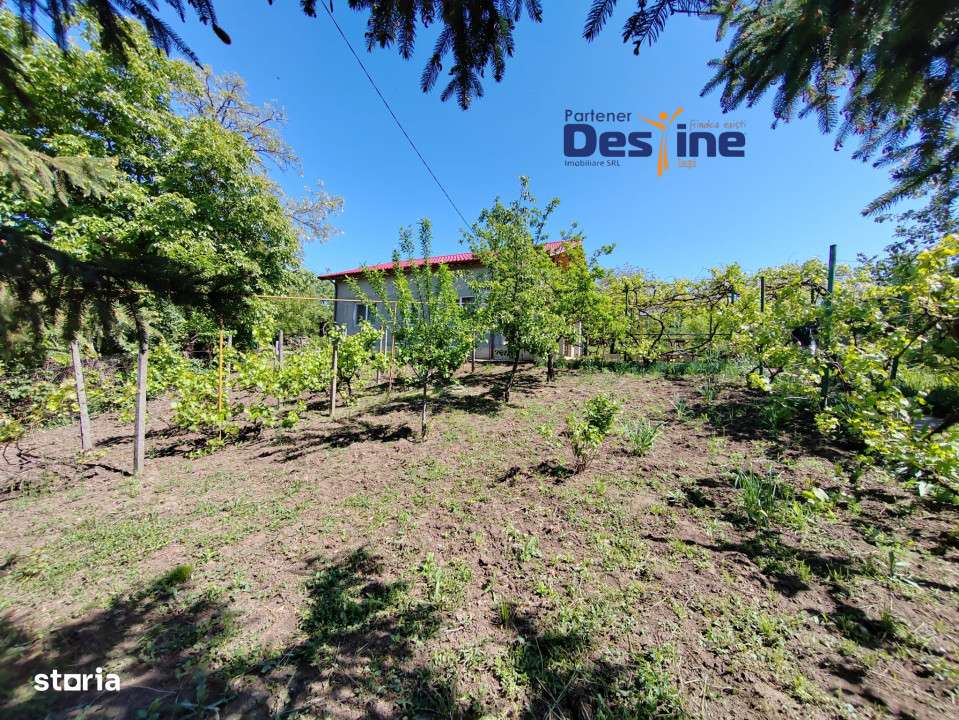 Casa individuala P+M, 164 mp utili + 1062 mp teren, COPOU - Imagine principală: 2/19