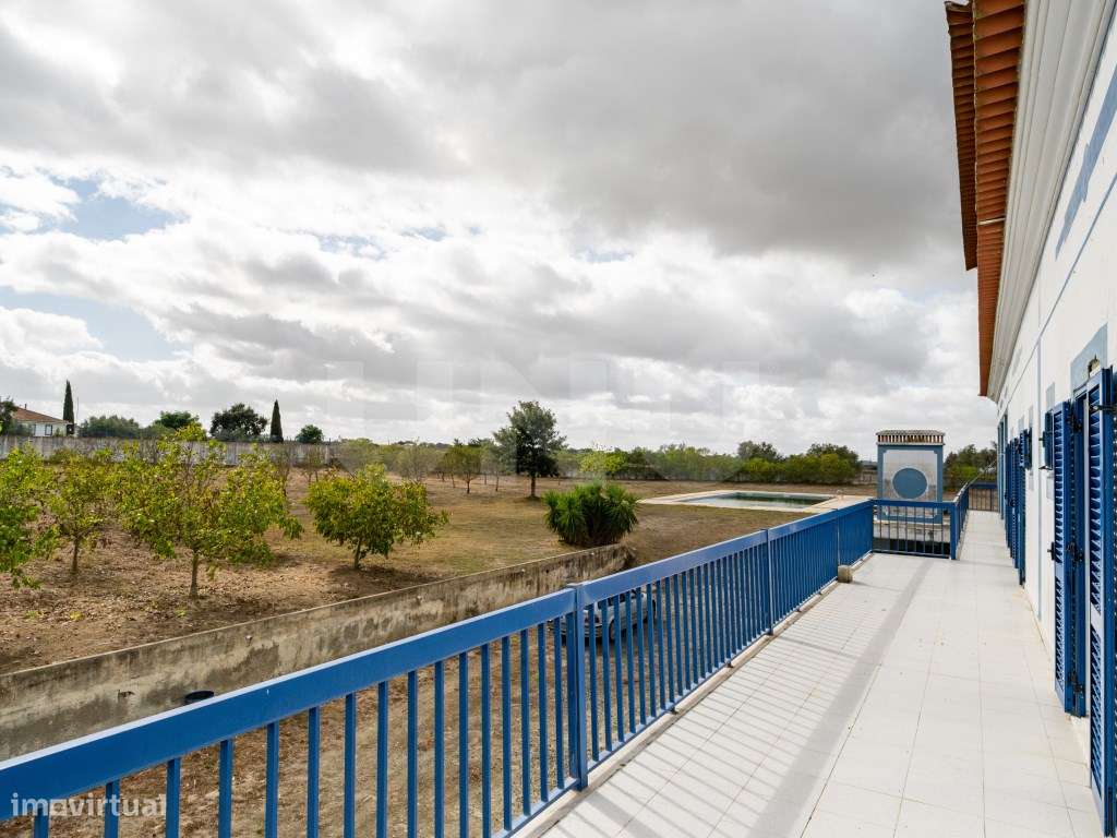 Quinta com 4,8 hectares e casa T9 em Vila Nova da Baronia-16