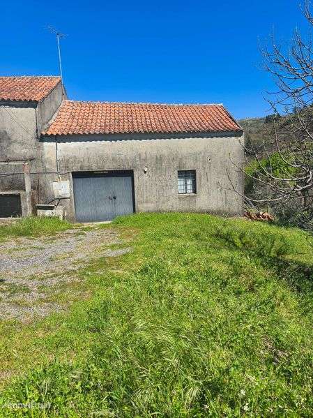 Quinta com casa pra reconstruir - Grande imagem: 5/8