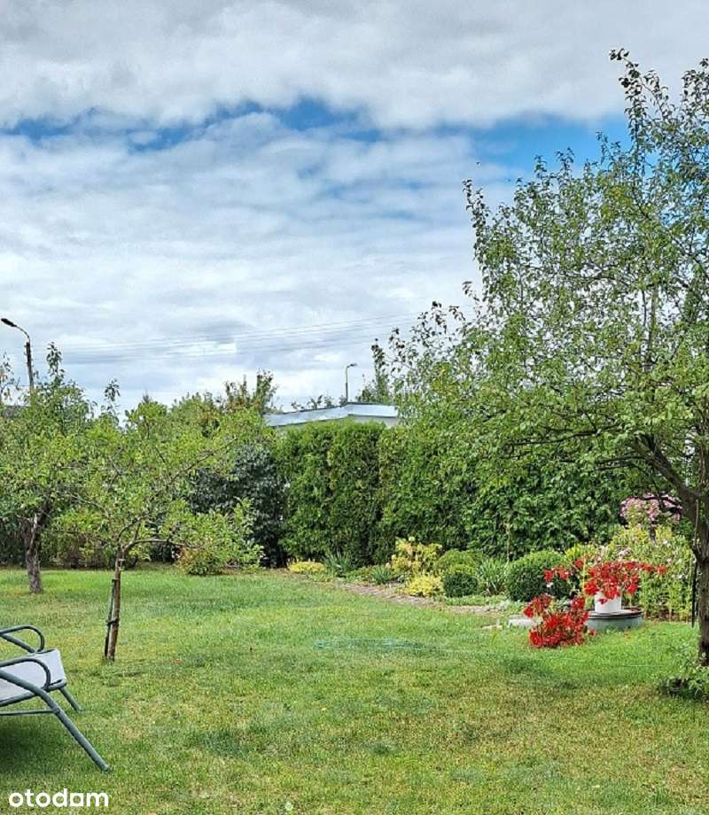 ROD RELAKS - Szwederowo - Pełny obrazek: 5/6