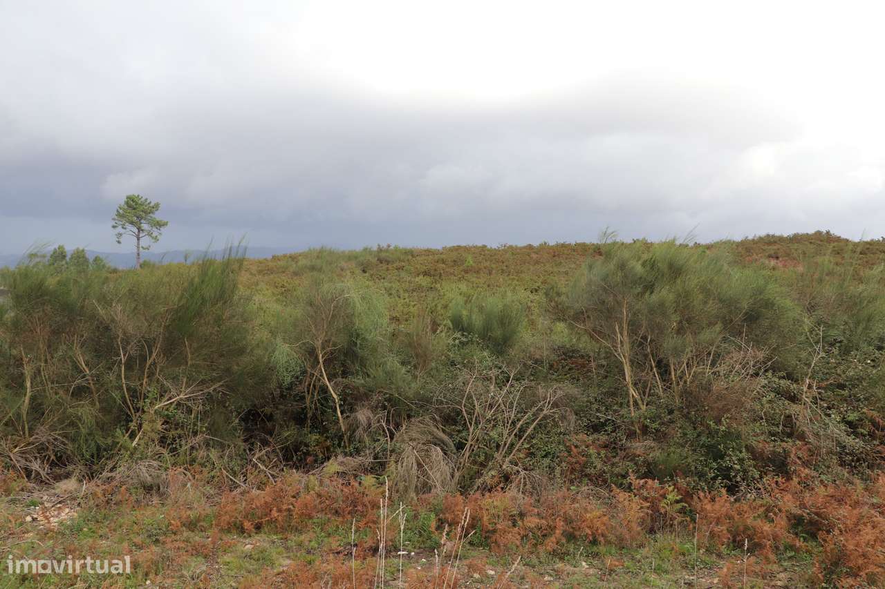 Lote de Terreno  Venda em Lustosa e Barrosas (Santo Estêvão),Lousada - Grande imagem: 5/9