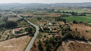 Terreno / Belmonte, Caria - Grande imagem: 5/20