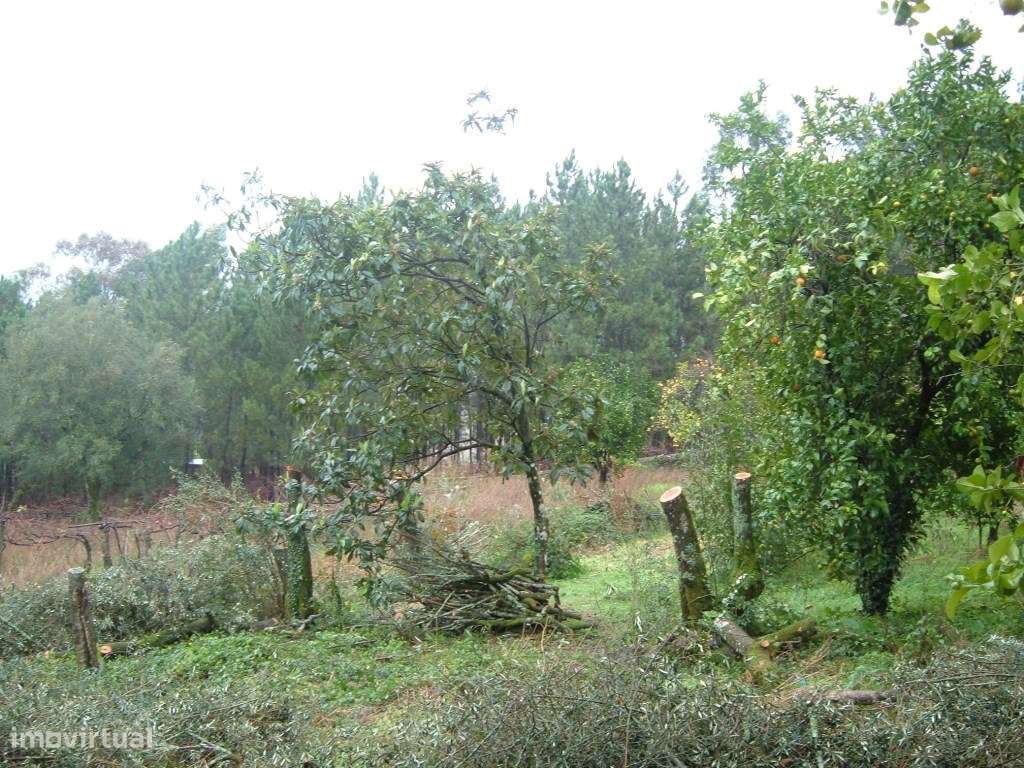 Terreno de construção em Rebordões de Souto - Ponte de Lima. - Grande imagem: 4/5