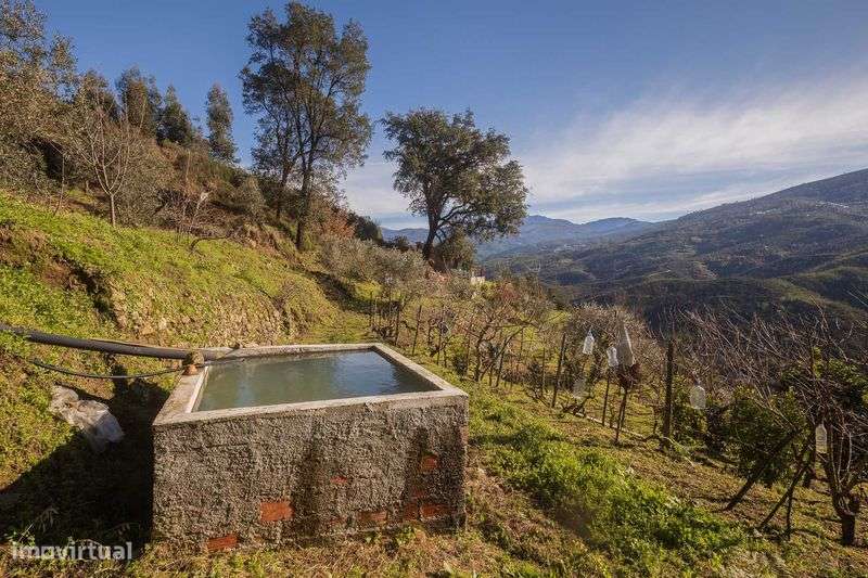 Quinta Rural com casa de campo - 9920 M2 (Vista para Serra da Estrela) - Grande imagem: 4/12